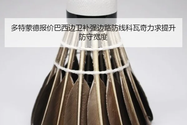 多特蒙德报价巴西边卫补强边路防线科瓦奇力求提升防守宽度